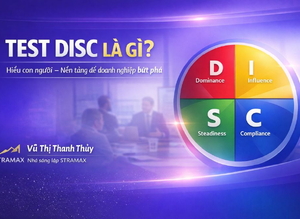 Test DISC là gì? Góc nhìn chuyên gia giúp doanh nghiệp bứt phá | STRAMAX
